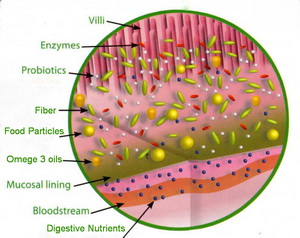 personal training, fitness training, fitness classes, bootcamp fitness, weight loss, fat loss